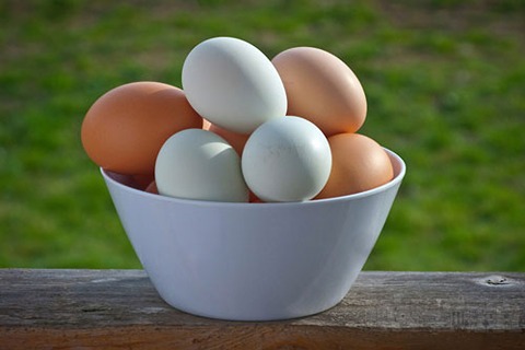 قیمت تخم مرغ محلی ارگانیک + خرید باور نکردنی